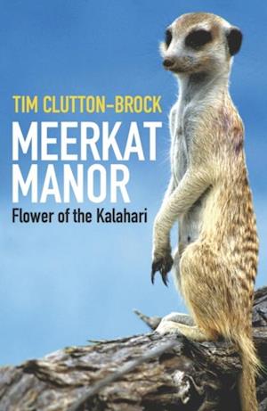 Meerkat Manor