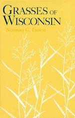 Grasses of Wisconsin