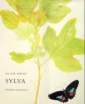 An Oak Spring Sylva