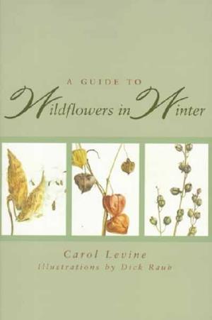 A Guide to Wildflowers in Winter