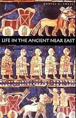 Life in the Ancient Near East, 3100-332 B.C.E.
