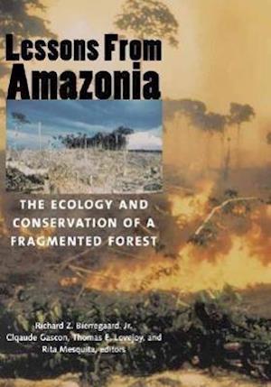 Lessons from Amazonia