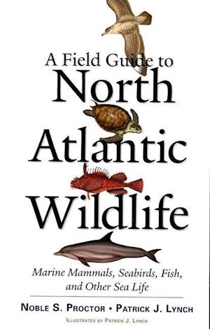 A Field Guide to North Atlantic Wildlife