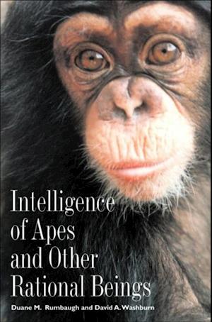 Intelligence of Apes and Other Rational Beings