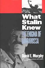 What Stalin Knew