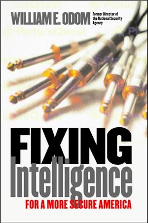 Fixing Intelligence