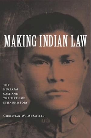 Making Indian Law