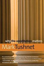 Why the Constitution Matters