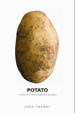 Potato