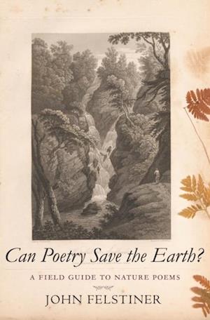 Can Poetry Save the Earth?