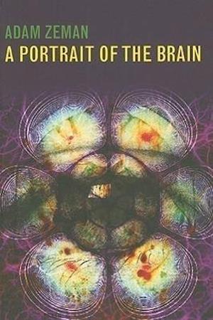 A Portrait of the Brain