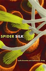 Spider Silk