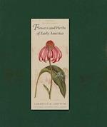 Flowers and Herbs of Early America