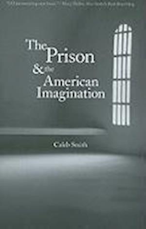 The Prison and the American Imagination