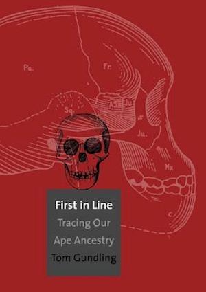 First in Line: Tracing Our Ape Ancestry