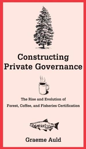 Constructing Private Governance