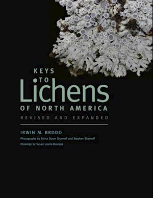 Keys to Lichens of North America