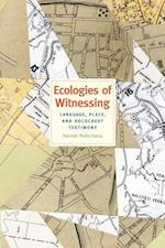 Ecologies of Witnessing