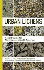 Urban Lichens