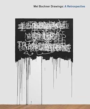 Mel Bochner Drawings