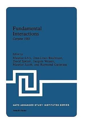 Fundamental Interactions