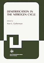 Denitrification in the Nitrogen Cycle