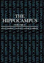 The Hippocampus