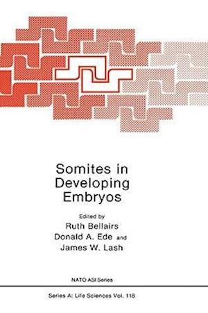 Somites in Developing Embryos