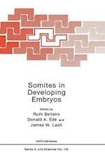 Somites in Developing Embryos