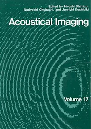 Acoustical Imaging