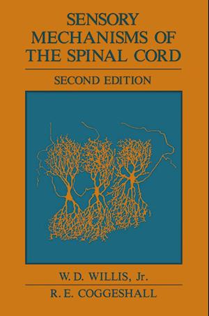 Sensory Mechanisms of the Spinal Cord