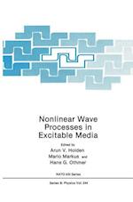 Nonlinear Wave Processes in Excitable Media