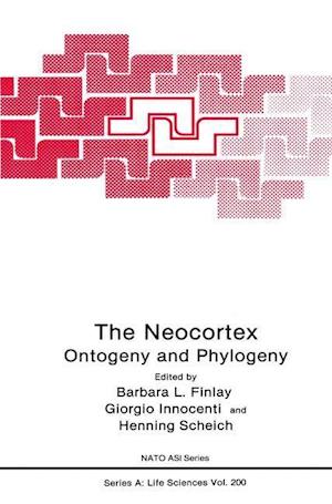 The Neocortex (9780306438080)