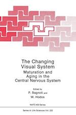 The Changing Visual System