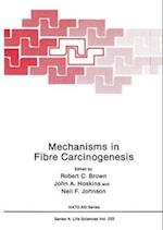 Mechanisms in Fibre Carcinogenesis