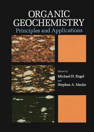 Organic Geochemistry