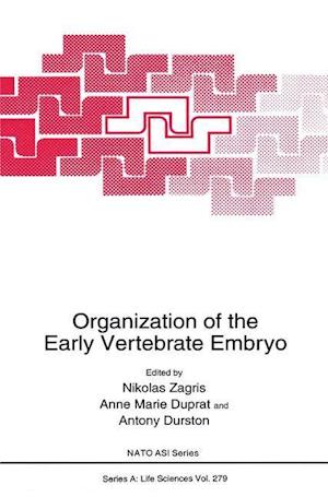 Organization of the Early Vertebrate Embryo