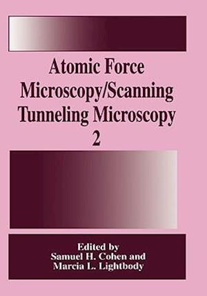 Atomic Force Microscopy/Scanning Tunneling Microscopy 2