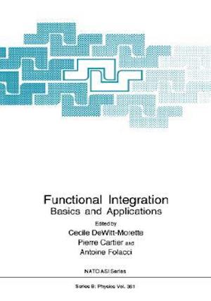 Functional Integration