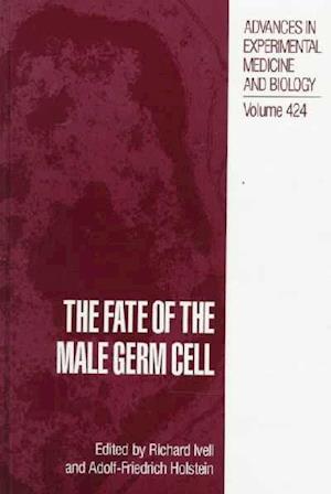 The Fate of the Male Germ Cell