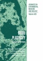 Brain Plasticity