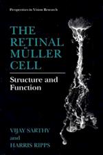 Retinal Muller Cell
