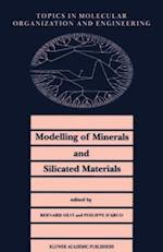 Modelling of Minerals and Silicated Materials