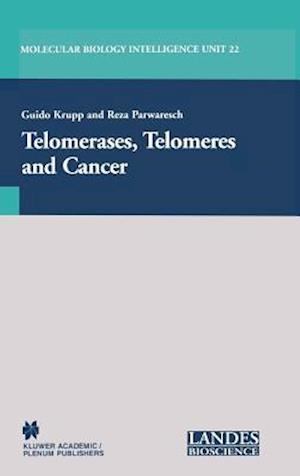 Telomerases, Telomeres and Cancer