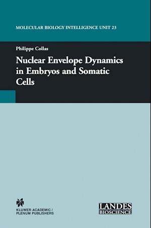 Nuclear Envelope Dynamics in Embryos and Somatic Cells