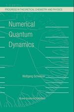 Numerical Quantum Dynamics