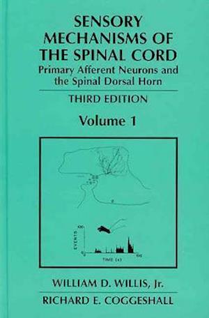 Sensory Mechanisms of the Spinal Cord