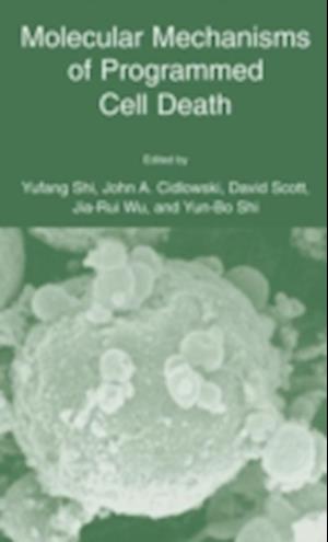 Molecular Mechanisms of Programmed Cell Death