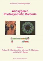 Anoxygenic Photosynthetic Bacteria