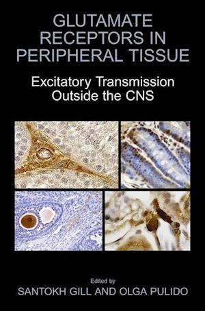 Glutamate Receptors in Peripheral Tissue